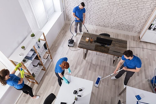 carpet cleaner.jpg