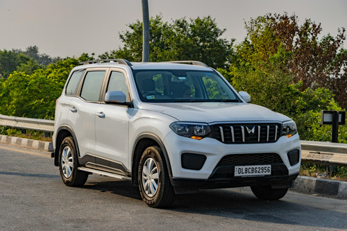 pexels shantumsingh 29057945.jpg