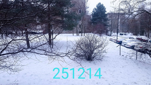 IMG 20251215 114525.jpg