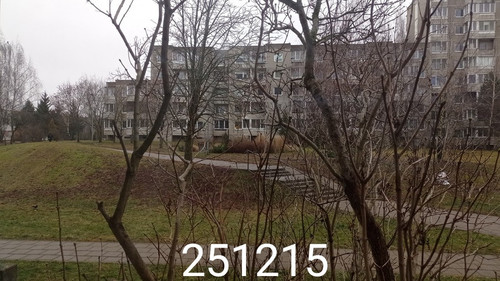 IMG 20251215 114606.jpg