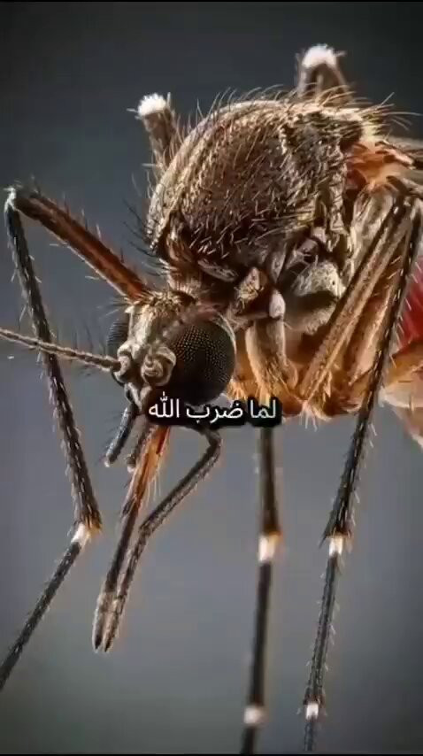 KZdMOfYKYn6WsGyJ.jpg