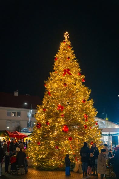 593989640 1188964980073372 7408296354716816876 n.jpg?stp=dst jpg s590x590 tt6& nc cat=107&ccb=1 7& n.jpg