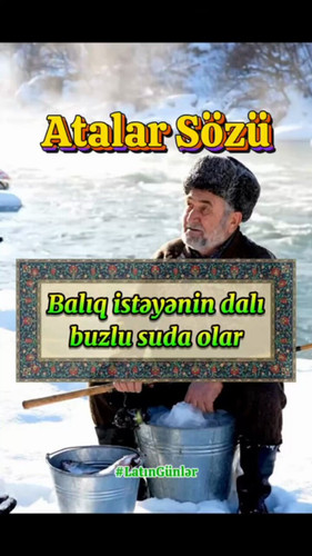 GWpTnxzODYmhGQH2.jpg
