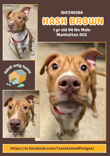 G4g 98hWIAAOp6Y?format=jpg.jpg