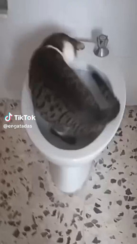 tFAJbD1KfZsdzkS8.jpg