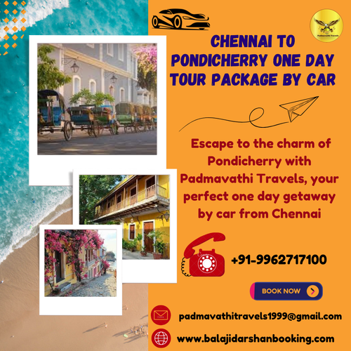 Travel to feel free!.png