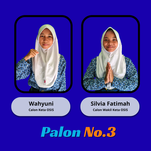 Palon No.3.png