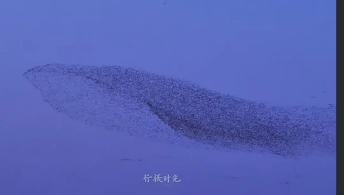 QQ图片20251215093240.png