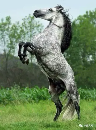 00CB7E52 772B 4C0C A4F4 78C12E0F6A79.webp