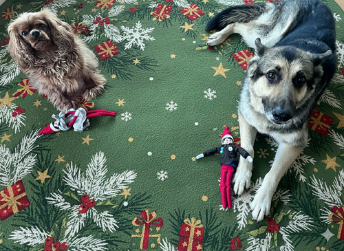 att.JM8hewtWDm8vsLD9obDqtRgsLZDo2ehCWedvp7Y w3Y.jpg