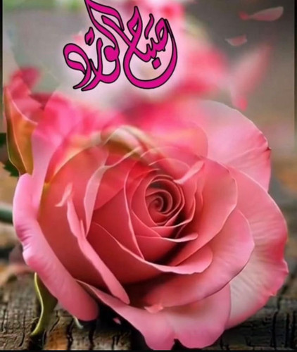 G8Qi9TjWcAINt X.1