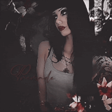 IMG 4095.gif