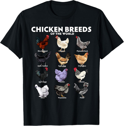 B1pppR4gVKL. CLa%7C2140%2C2000%7C91r0zr1rALL.png%7C0%2C0%2C2140%2C2000%2B0.0%2C0.0%2C2140.0%2C2000.0.jpg