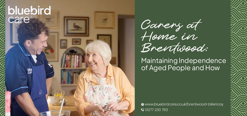 Carers at Home in Brentwood: Maintaining Independence of Aged People and How.jpg