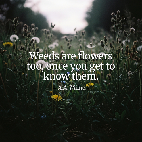 spreading success 20251215 125321.png