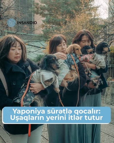 599929541 819930417699887 8153774636949742539 n.jpg?stp=dst jpg s640x640 tt6& nc cat=103&ccb=1 7& nc.jpg