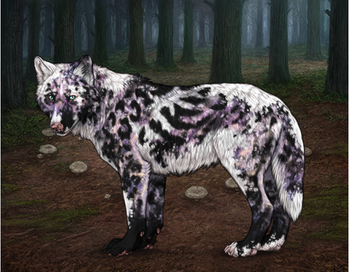 Screenshot 2025 12 14 165605.png