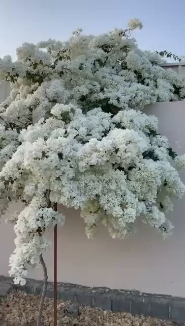 UTnyoGP nOmoP6oU.jpg