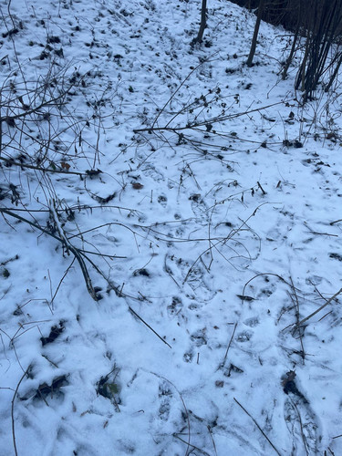 Изображение WhatsApp 2025 12 15 в 15.52.43 8ec9470c.jpg