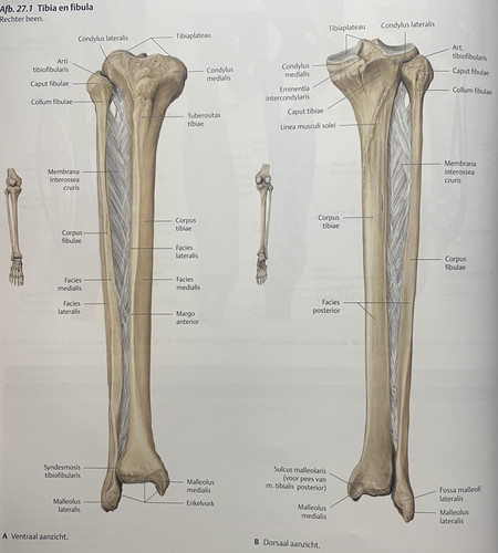 d5ab6b77f847.jpg