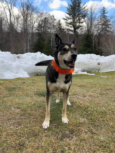 f63118ab 15fb 48b5 9c8d 6bca23885bb7.jpg