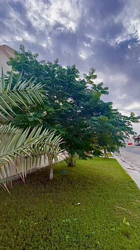 IOg9W9ow1 SmkteS.jpg