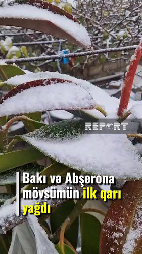 7dKdpa0DNddwbT0u.jpg