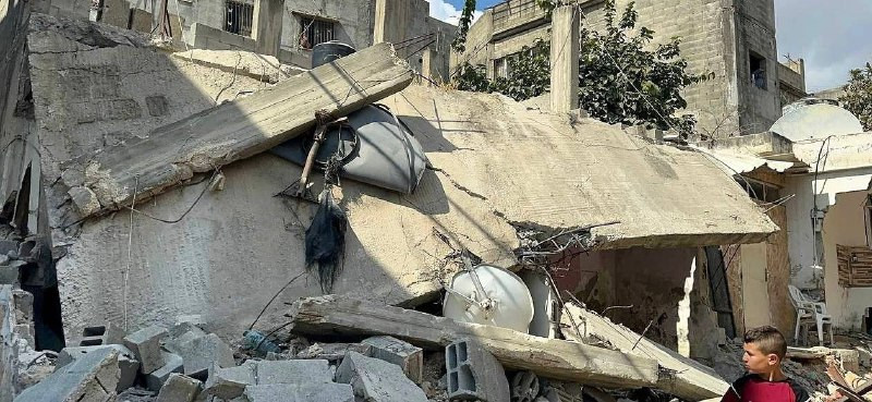 نائب رئيس اللجنة الشعبية في مخيّم نور شمس، يوسف فنادقة، ذكر أن نحو 1907 عائلات نازحة تعيش حالياً في شقق مستأجرة موزعة على مناطق مختلفة من محافظة طولكر...