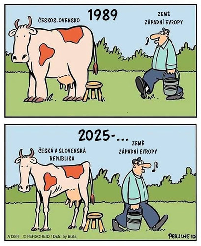 600284934 25589526110697388 3732770897970029792 n.jpg