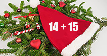 14 + 15.jpg