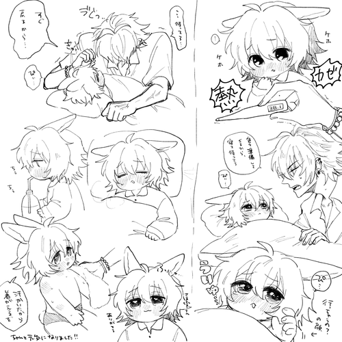 IMG 7355.png