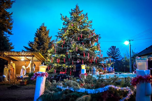 597862278 1782517702692246 4658942182573692640 n.jpg?stp=dst jpg s590x590 tt6& nc cat=108&ccb=1 7& n.jpg