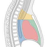 5856edef220f.png