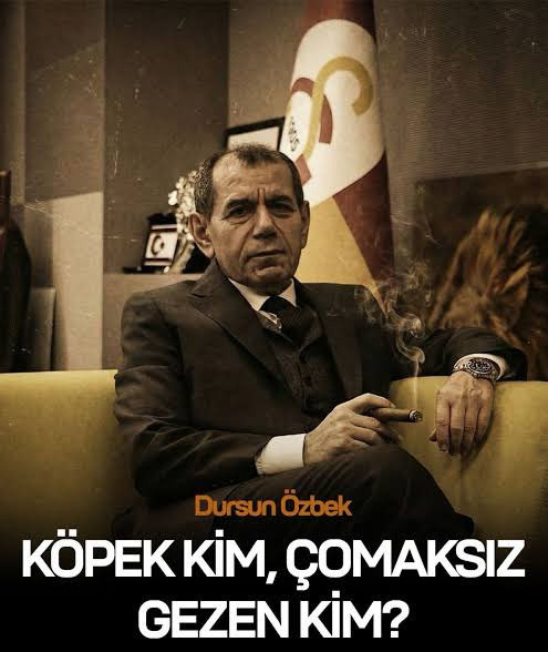 G8JjoEkXQAcodSr.jpg