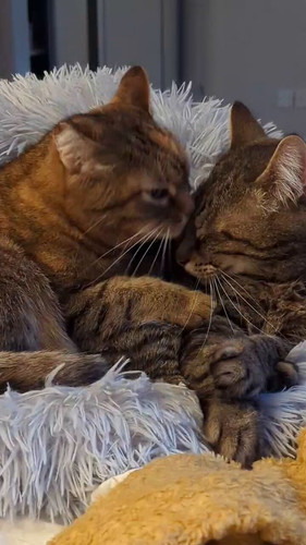 mjXVlVZfbaghFZ f.jpg