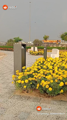 dubai satisfying place after walking 6km from the early in v0 cnRhcTRlZHBrNzdnMdvBdPUiepy15gK8yP4tqp.jpg