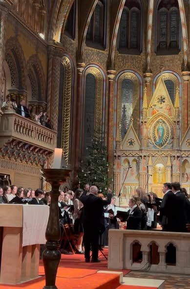 600327180 1460478949413492 3068404907917371113 n.jpg?stp=dst jpg s590x590 tt6& nc cat=108&ccb=1 7& n.jpg