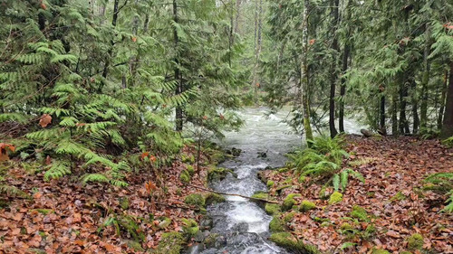 WSbCeaGNap O u7G.jpg