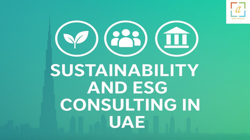 Top Sustainability and ESG Consulting Firm in UAE.jpg