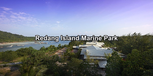 Redang Island Marine Park.jpg
