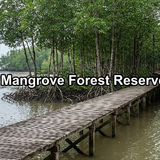 Matang Mangrove Forest Reserve, Perak