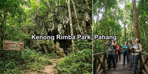Kenong Rimba Park, Pahang.png
