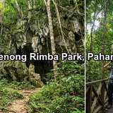 Kenong Rimba Park, Pahang