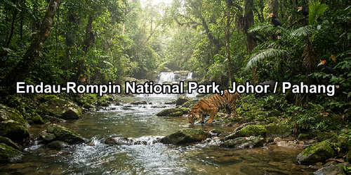 Endau Rompin National Park, Johor & Pahang.png
