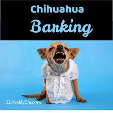 [Image: faQJNef.jpg]