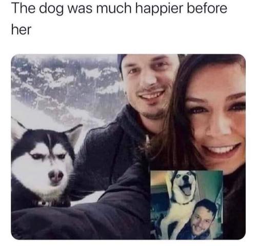 c6edbc73 43b9 4160 a6c1 05d54c8f6eaa.jpg