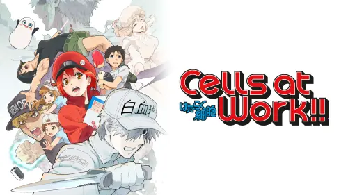 Cells at Work Season 1 Hindi Dubbed Episodes Download HD min.webp