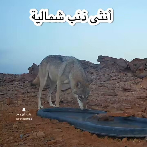 BurCxb9M1AQ1kEDY.jpg