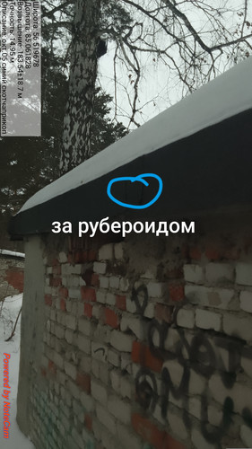 1000004398.jpg