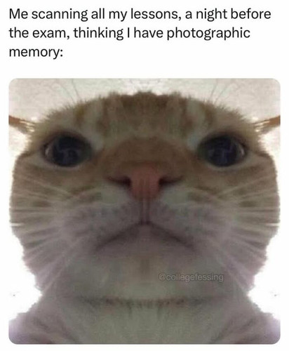 50e82833 063b 465a b71a cfcc25673cda.jpg